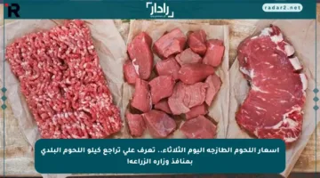 أسعار اللحوم الطازجة اليوم الثلاثاء.. تعرف على تراجع كيلو اللحوم البلدي بمنافذ وزارة الزراعة!